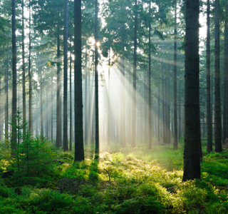 4.0_Enviro_Sustainability